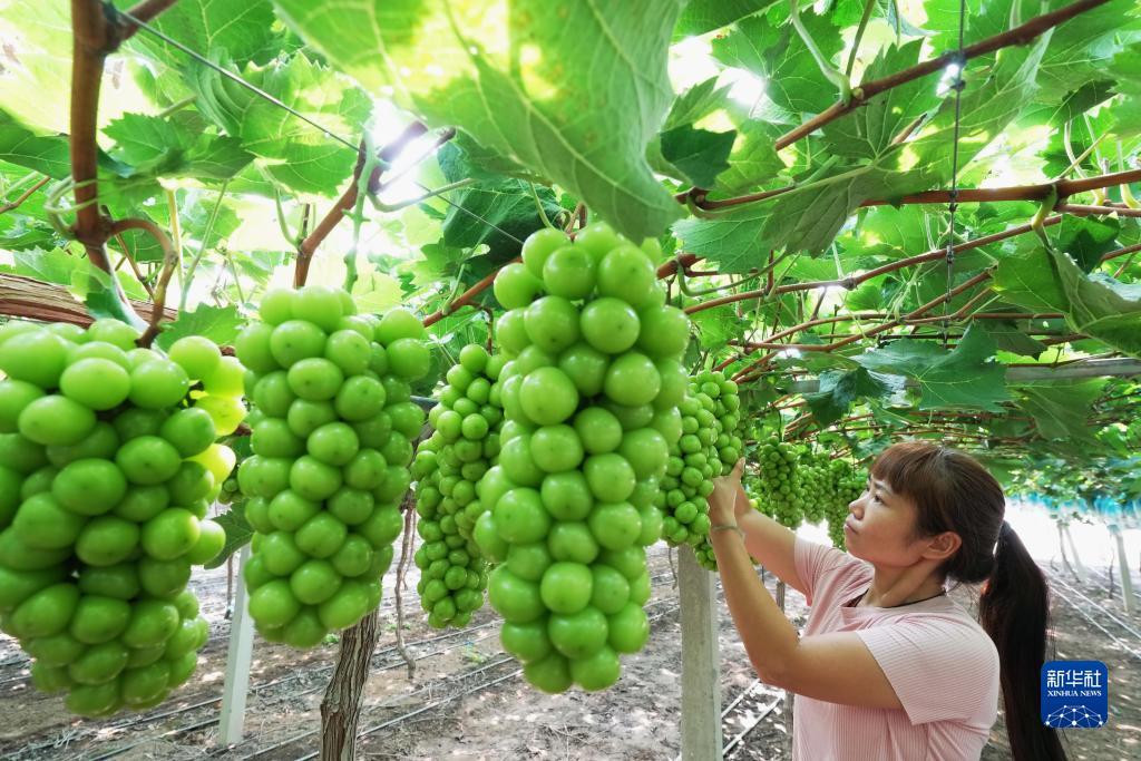 免费送彩金的娱乐网址